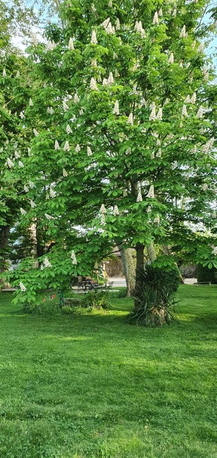 B&B Le Domaine Des Marcoujans Saint-Elix-le-Chateau Exterior photo